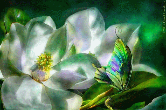 Les FLEURS dans L'ART - Page 21 Dc6fb54f
